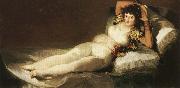 Francisco Goya The Clothed Maja oil painting on canvas